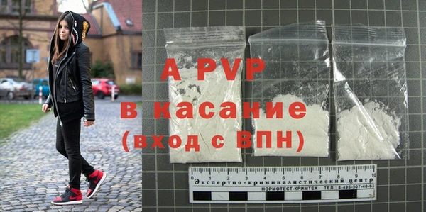 сатива Богданович