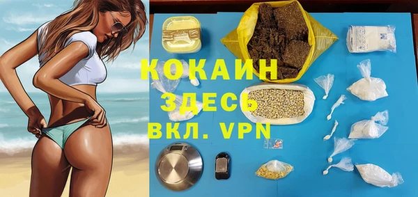 сатива Богданович