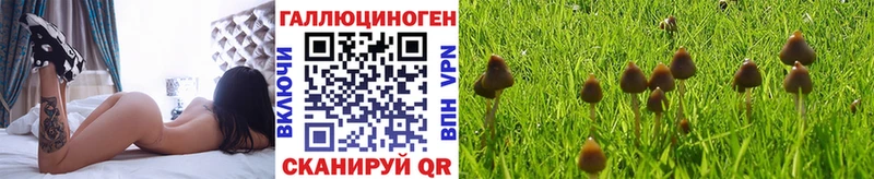 Галлюциногенные грибы ЛСД  Мичуринск 